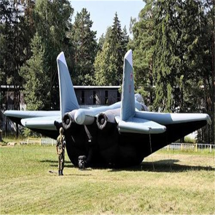 寿宁充气飞机模型